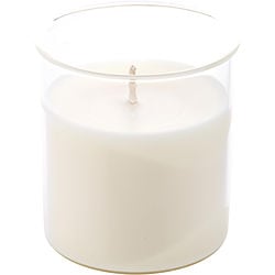 PUMPKIN PISTACHIO CREME by Northern Lights - ESQUE CANDLE INSERT