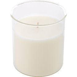 SPARKLING CHAMPAGNE by Northern Lights - ESQUE CANDLE INSERT