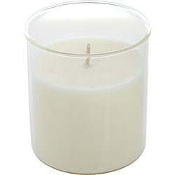 LAVENDER & HONEY by Northern Lights - ESQUE CANDLE INSERT