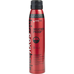 SEXY HAIR by Sexy Hair Concepts - BIG SEXY HAIR WEATHER PROOF HUMIDITY RESISTANT SPRAY