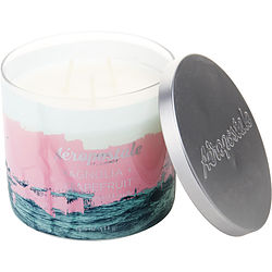 AEROPOSTALE MAGNOLIA & GRAPEFRUIT by Aeropostale - SCENTED CANDLE - DebStella