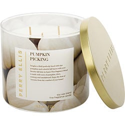 PERRY ELLIS PUMPKIN PICKING by Perry Ellis - CANDLE
