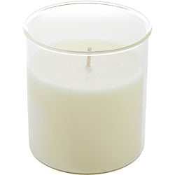 CELESTE FIG & MELON by Northern Lights - ESQUE CANDLE INSERT